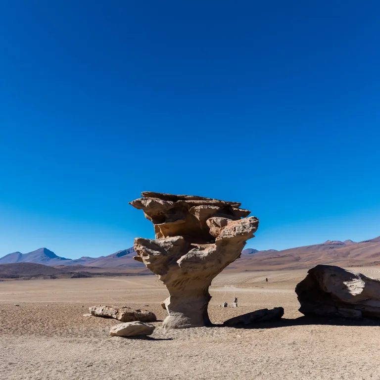 Siloli Desert