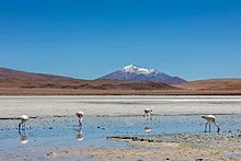 Uyuni Backpackers Clásico