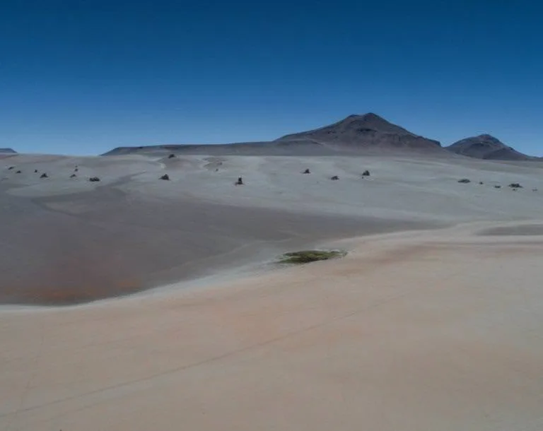Desierto Salvador Dalí