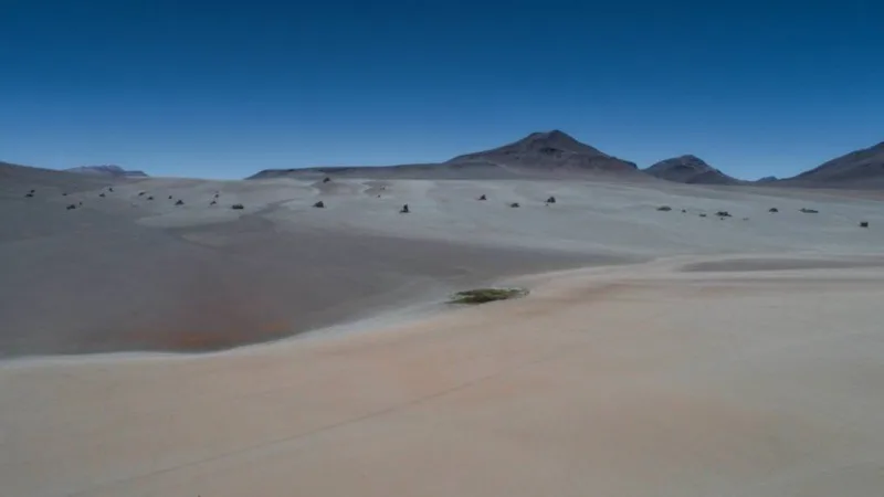 Desierto Salvador Dalí