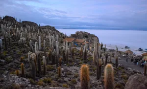 Uyuni Backpackers Clásico