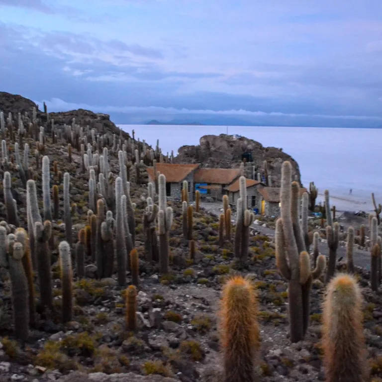 Bienvenido al Salar de Uyuni