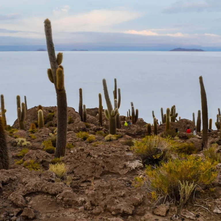 Isla Incahuasi