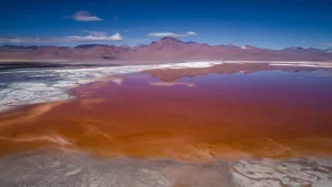 Uyuni Backpackers Clásico