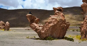 Formación rocosa erosionada con forma de camello en el altiplano boliviano, con una persona sentada sobre la roca.
