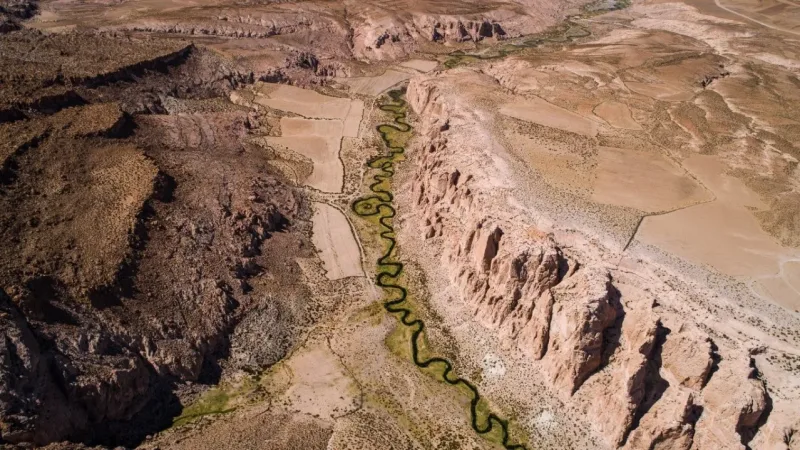 Vista aérea del Cañón Anaconda con río serpenteante verde entre formaciones rocosas áridas y paisaje desértico.