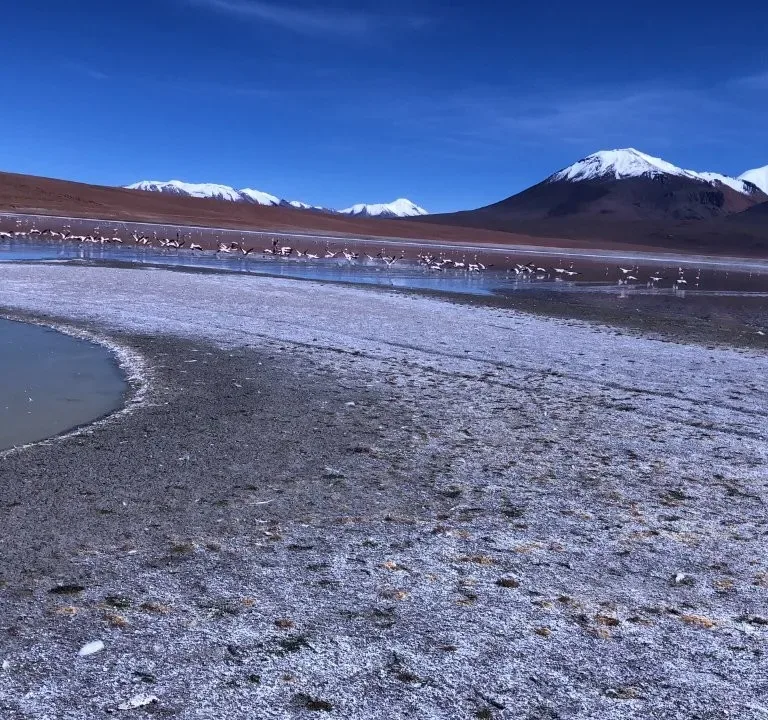 Laguna Vinto